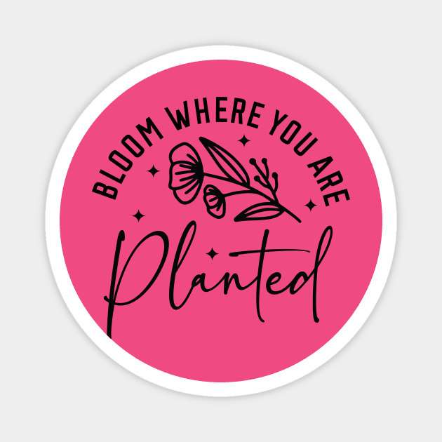 'Bloom where you are planted' Magnet by David's Store 3